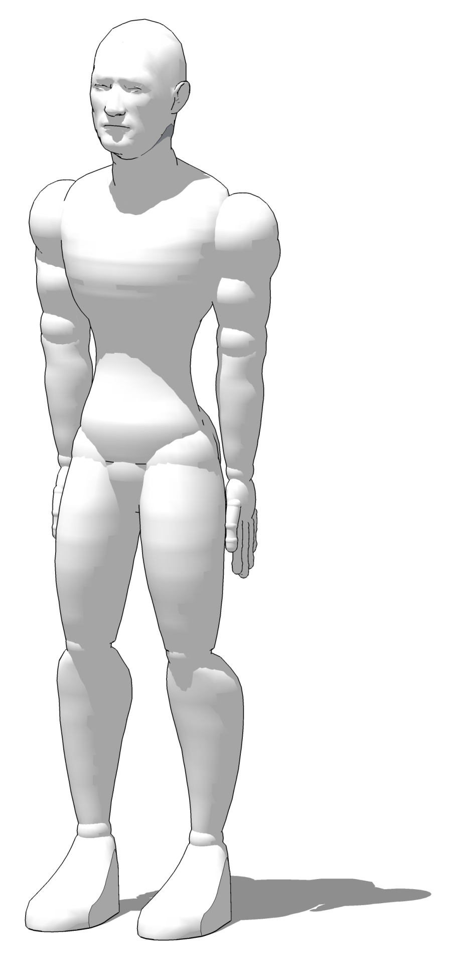 3D визуализация и модель в СкетчАп фигуры человека